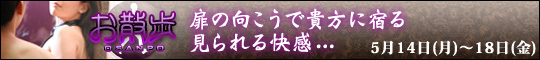 お散歩!!