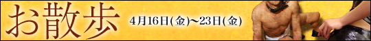 お散歩